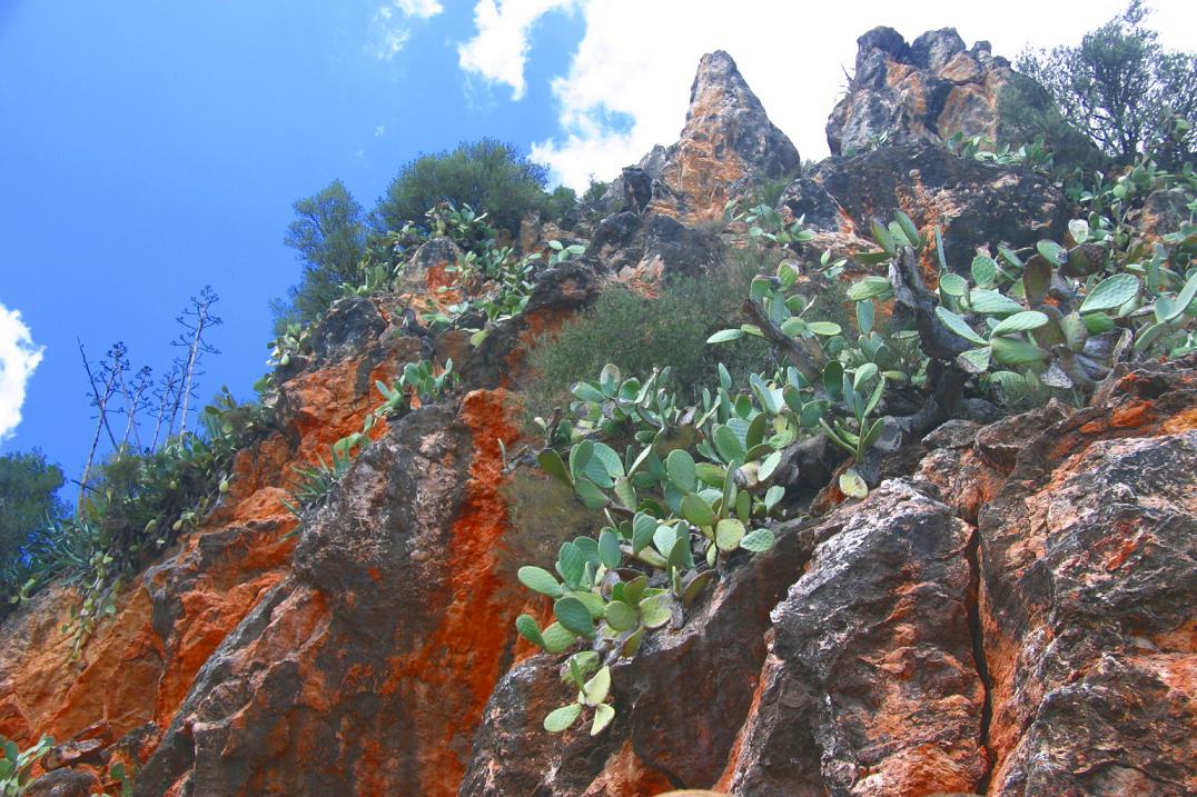 Foto de Miravet (Tarragona), España