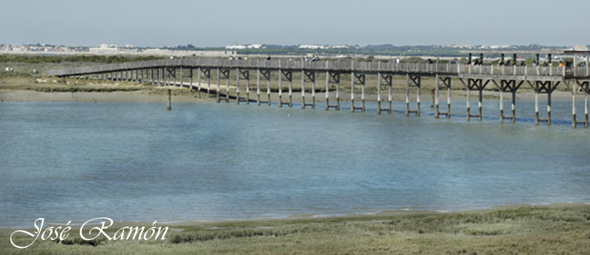 Foto de Puerto Real (Cádiz), España