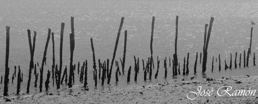 Foto de Puerto Real (Cádiz), España