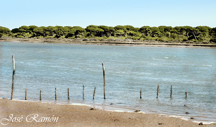 Foto de Puerto Real (Cádiz), España