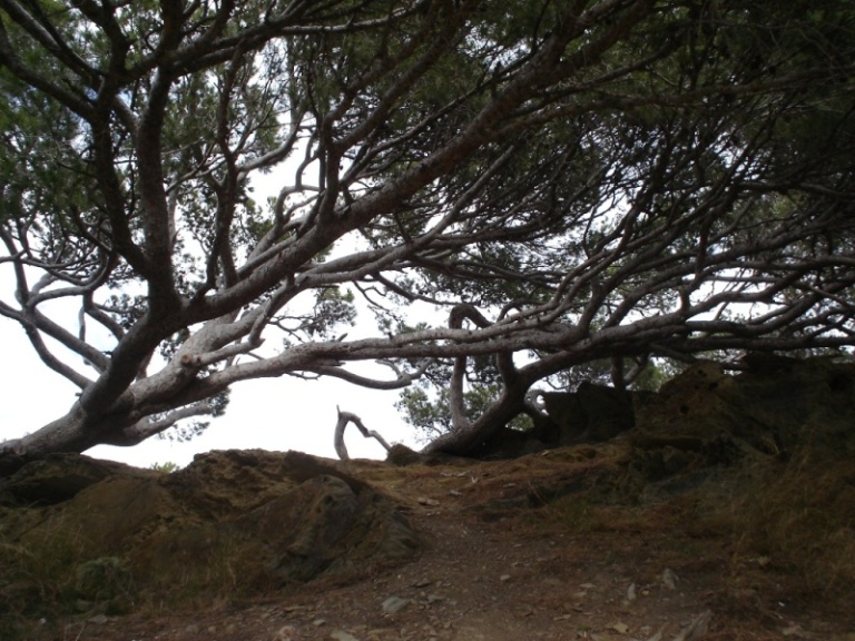 Foto de Cadaqués (Girona), España