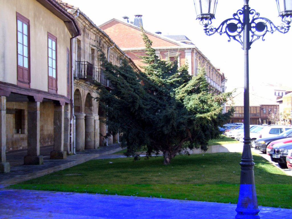 Foto de Aguilar de Campoo (Palencia), España