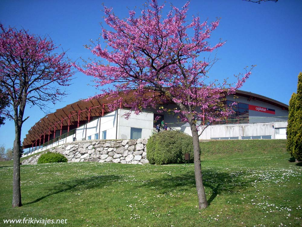 Foto de Oviedo (Asturias), España