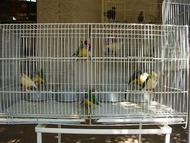 Foto de Santiago, Chile