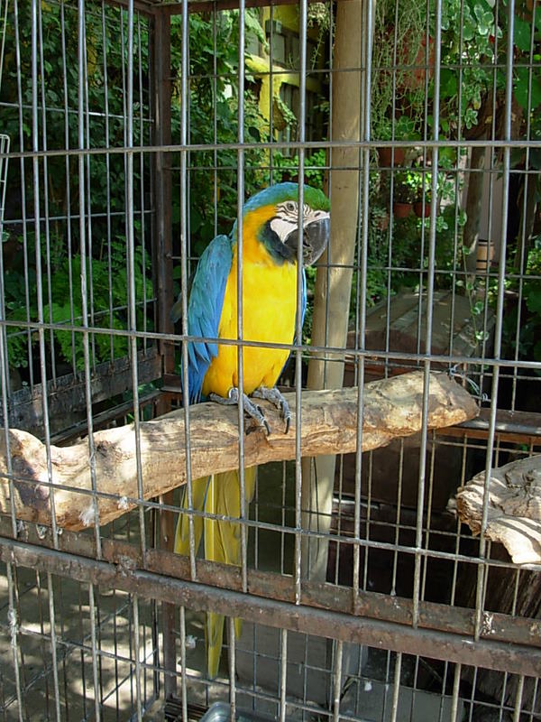 Foto de Santiago, Chile