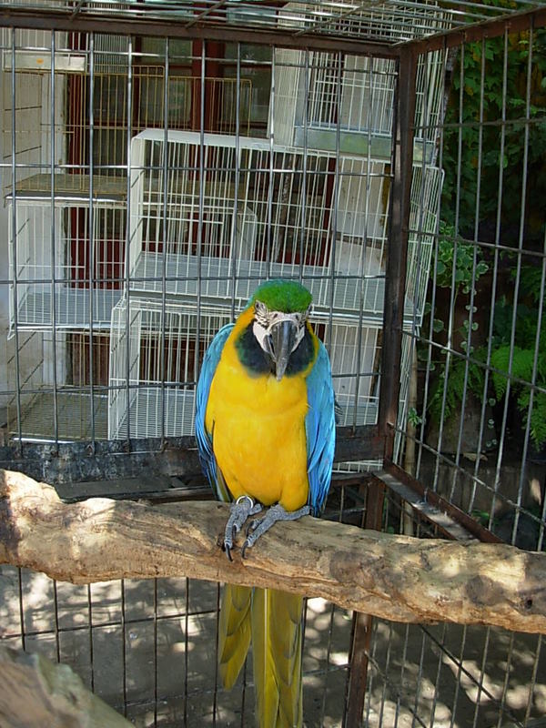 Foto de Santiago, Chile