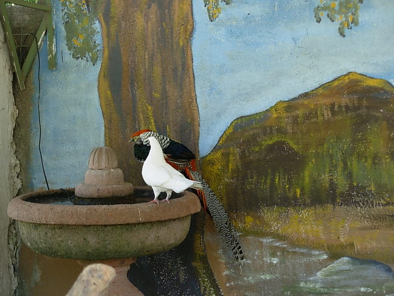 Foto de Santiago, Chile