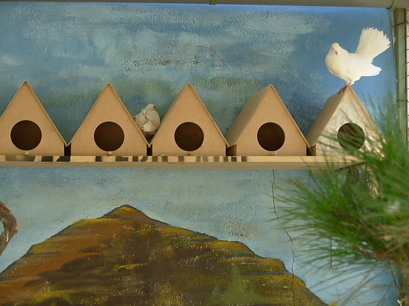 Foto de Santiago, Chile