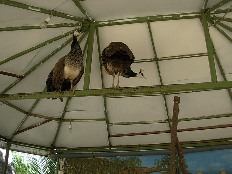 Foto de Santiago, Chile