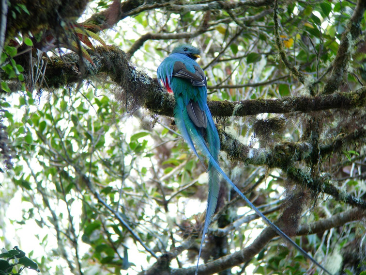 Foto de Cartago, Costa Rica