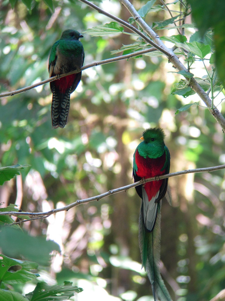 Foto de Cartago, Costa Rica