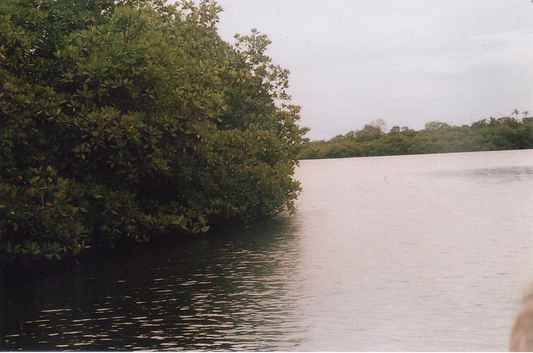 Foto de Bocas del Toro, Panamá