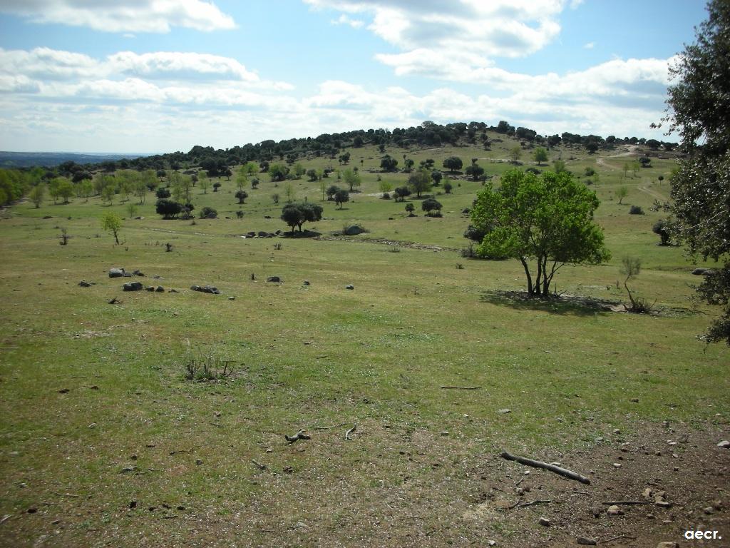Foto de Valdemorillo (Madrid), España