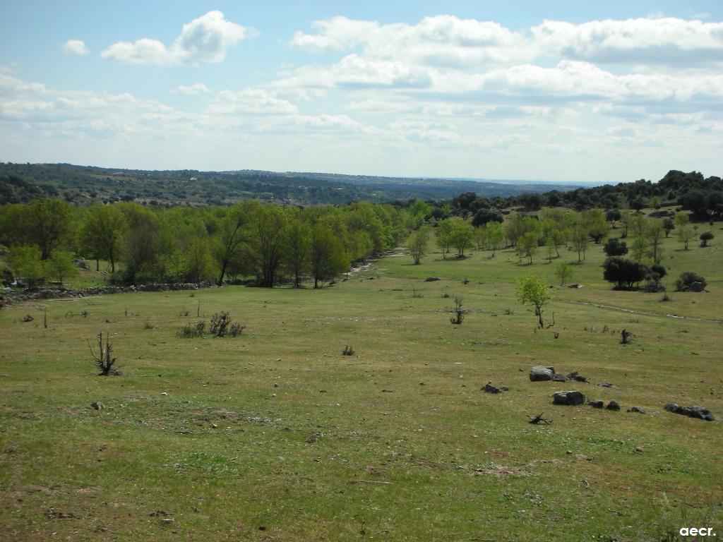Foto de Valdemorillo (Madrid), España
