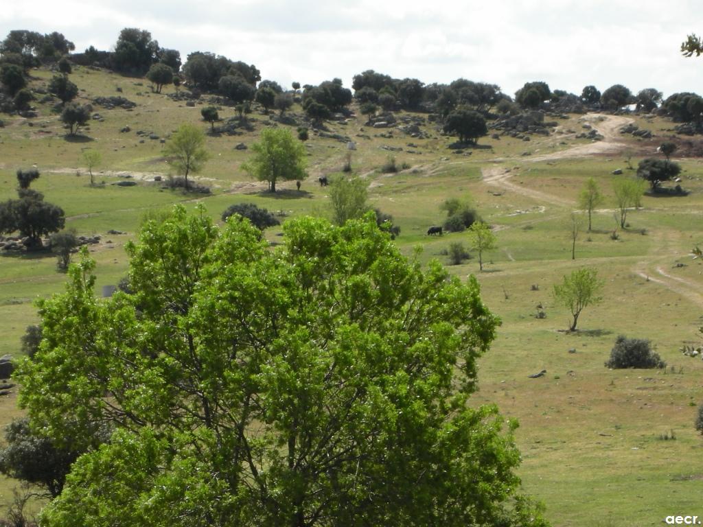 Foto de Valdemorillo (Madrid), España