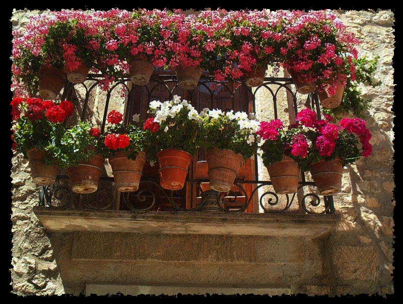Foto de Santo Domingo de Silos (Palencia), España