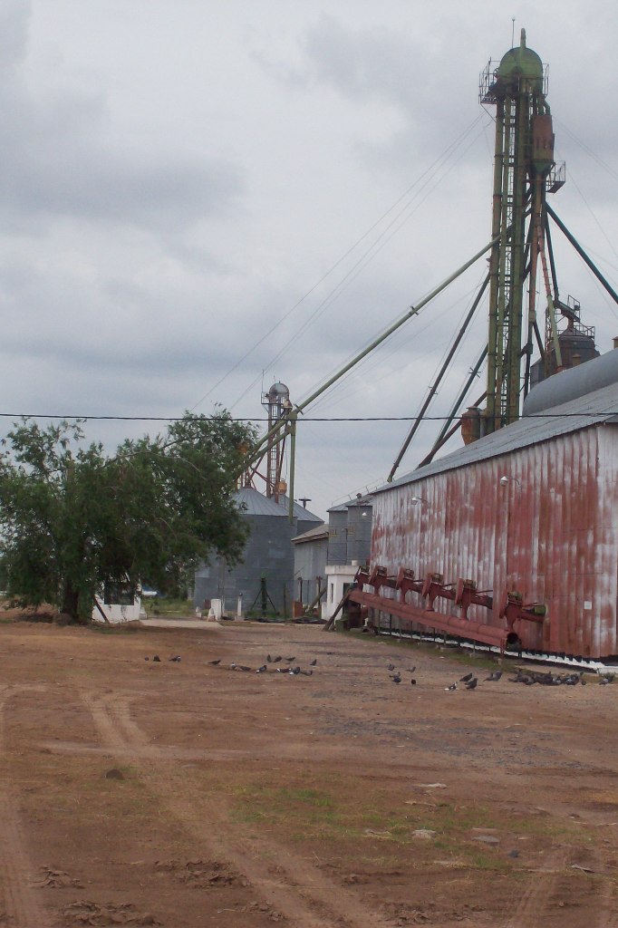 Foto de General Levalle - Cordoba, Argentina