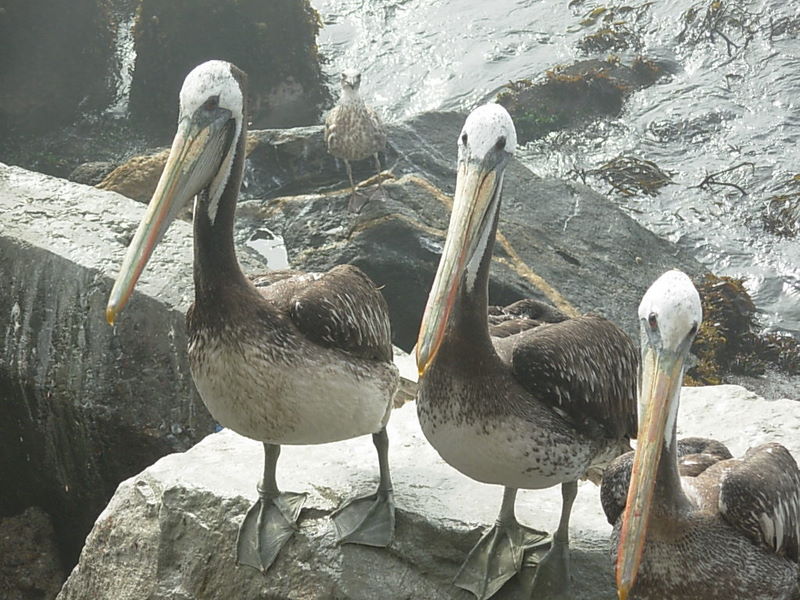Foto de Valparaiso, Chile