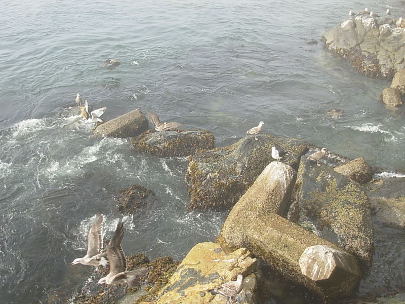 Foto de Valparaiso, Chile