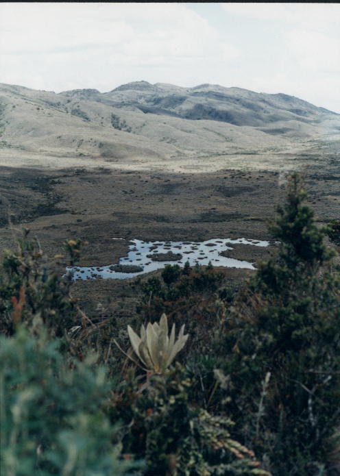 Foto de Villapinzón, Colombia
