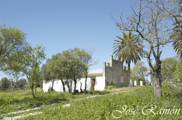 Foto de San José del Valle (Cádiz), España