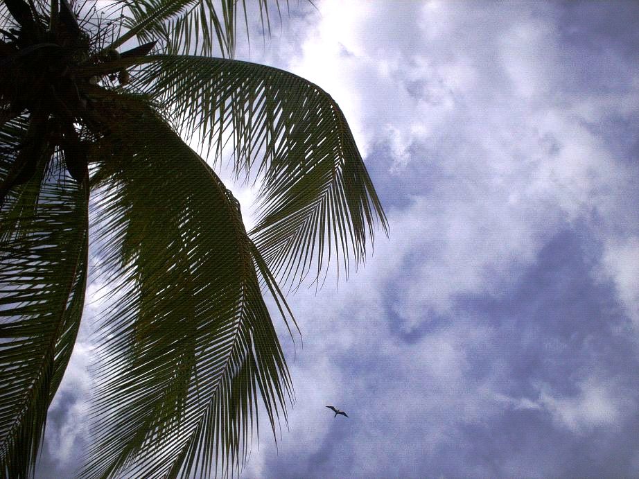 Foto de Puntarenas, Costa Rica