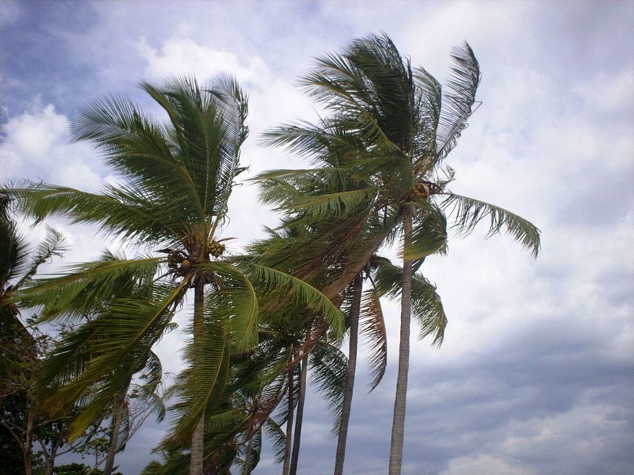 Foto de Puntarenas, Costa Rica