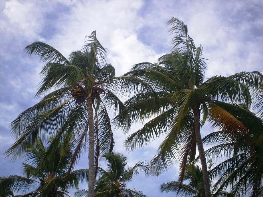 Foto de Puntarenas, Costa Rica