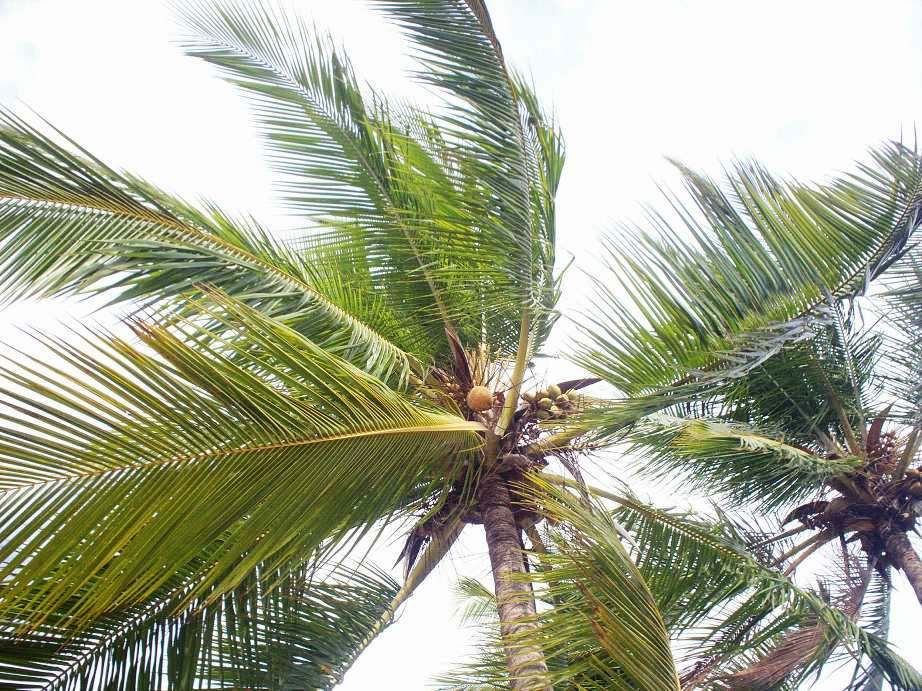 Foto de Puntarenas, Costa Rica