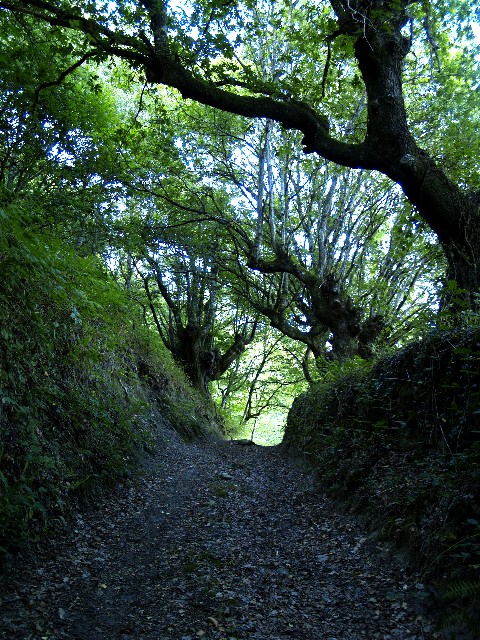 Foto de Lancara (Lugo), España