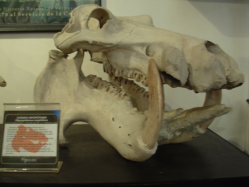 Foto de Valparaiso, Chile