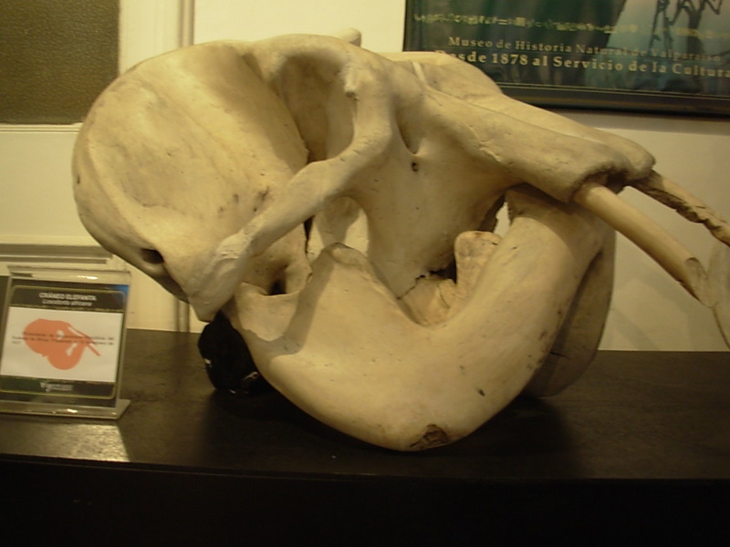 Foto de Valparaiso, Chile