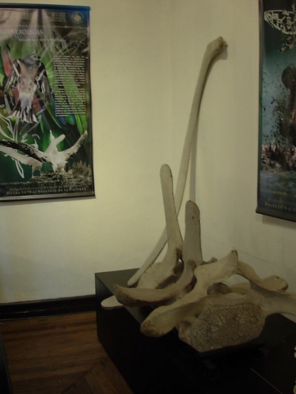 Foto de Valparaiso, Chile