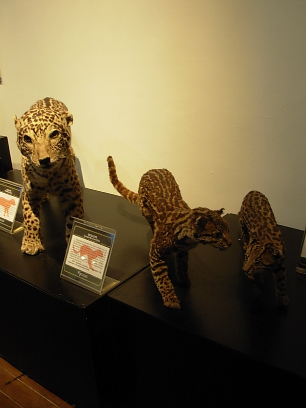 Foto de Valparaiso, Chile