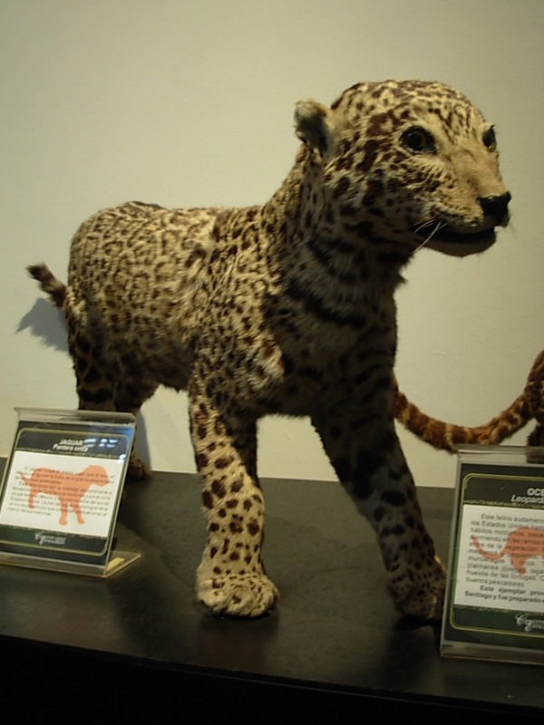 Foto de Valparaiso, Chile