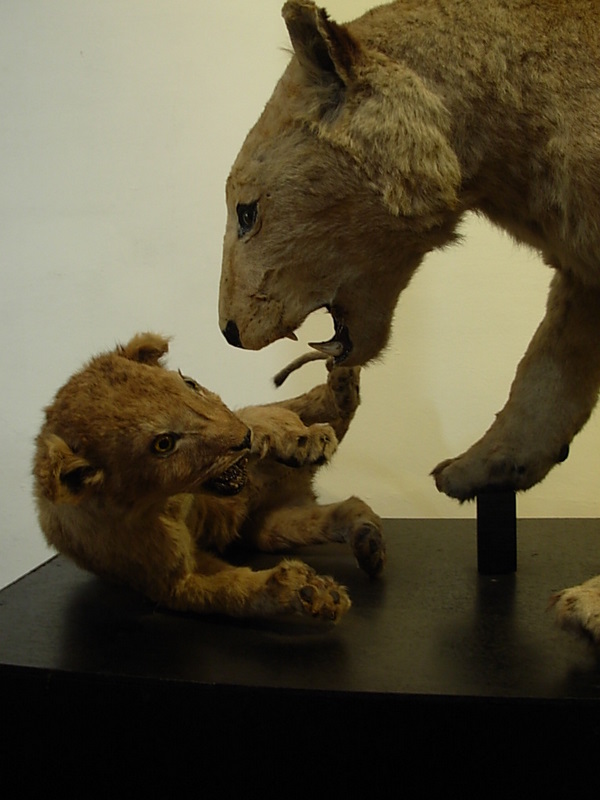 Foto de Valparaiso, Chile