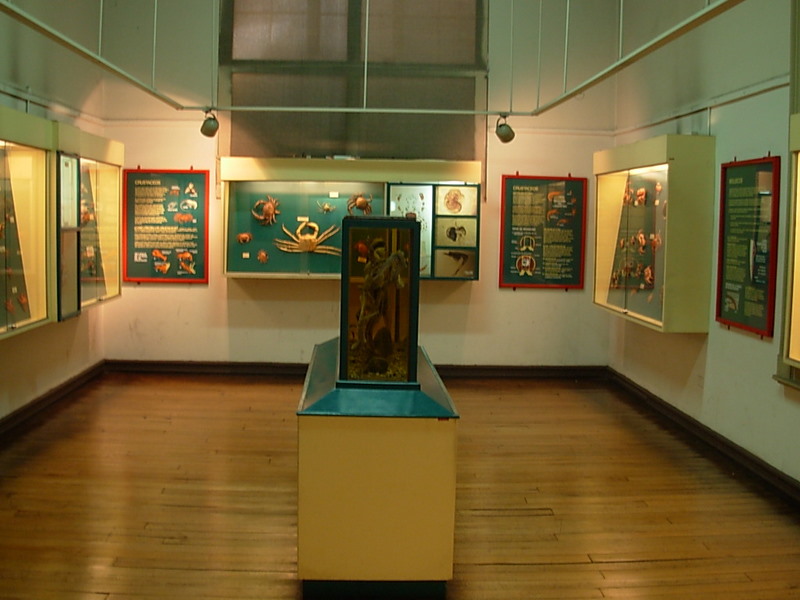 Foto de Valparaiso, Chile