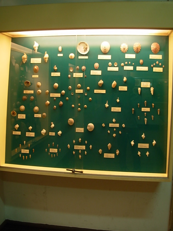 Foto de Valparaiso, Chile