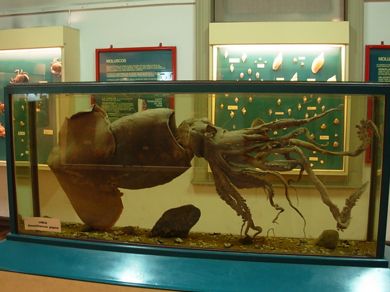 Foto de Valparaiso, Chile