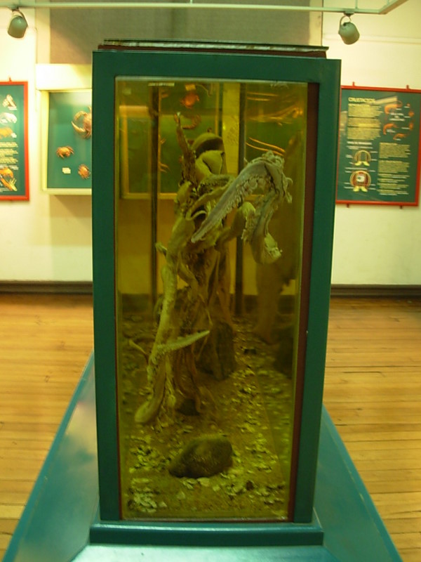 Foto de Valparaiso, Chile