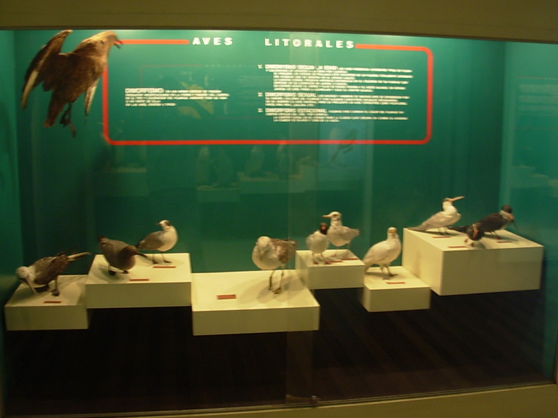 Foto de Valparaiso, Chile