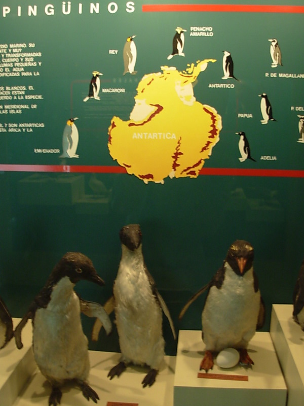 Foto de Valparaiso, Chile