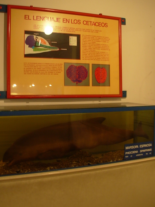 Foto de Valparaiso, Chile