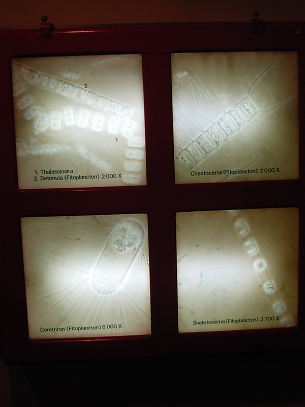 Foto de Valparaiso, Chile