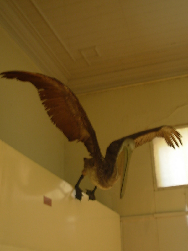 Foto de Valparaiso, Chile