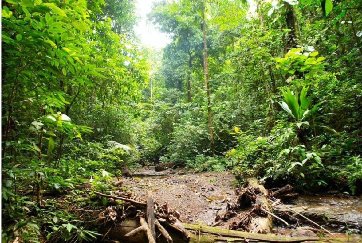 Foto de Puriscal (San José), Costa Rica