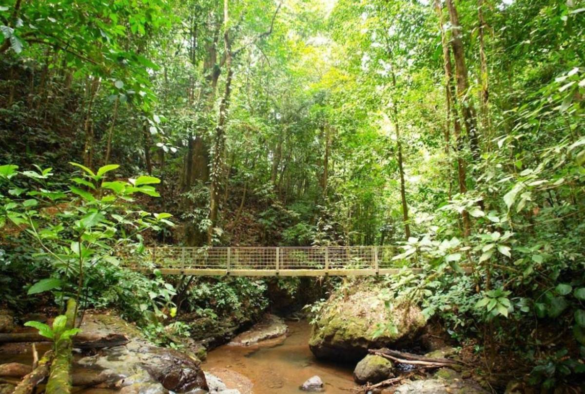 Foto de Puriscal (San José), Costa Rica