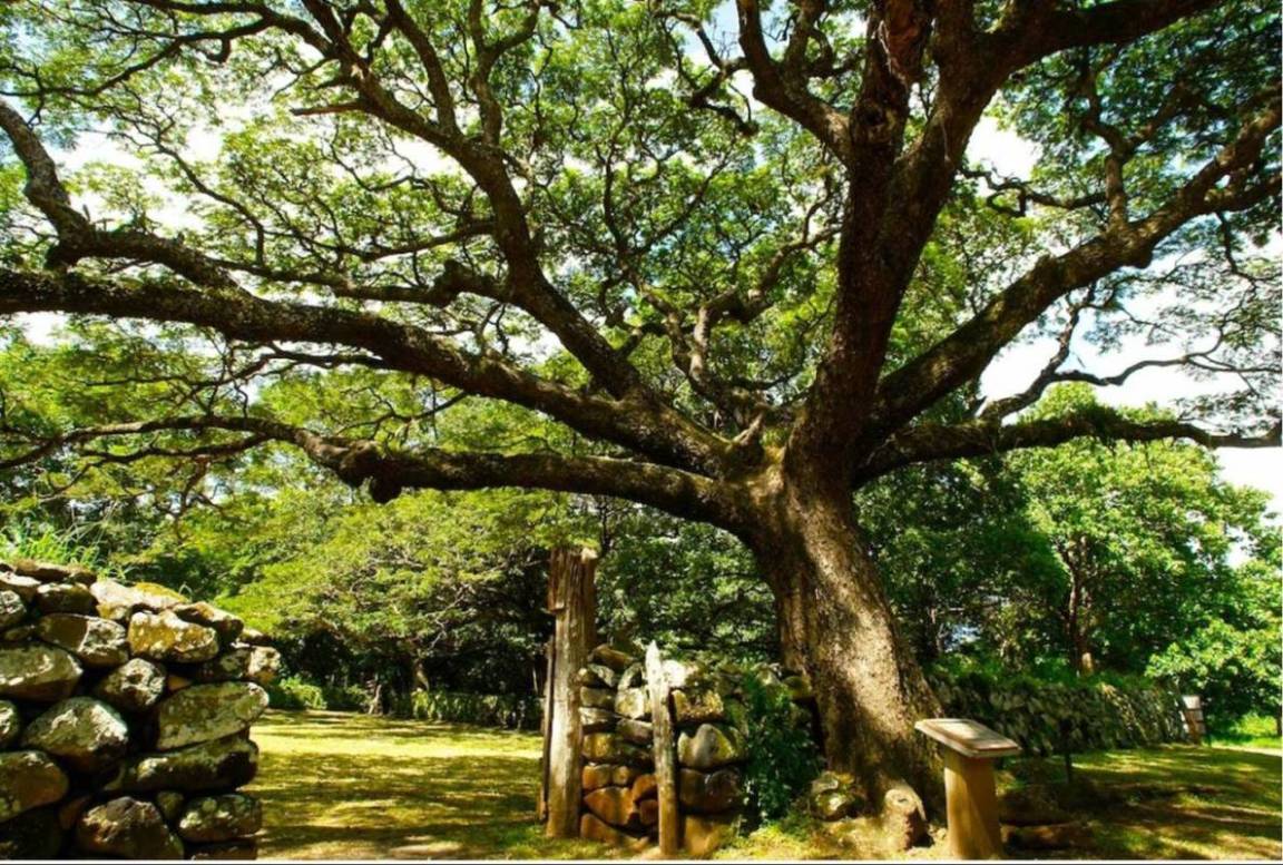 Foto de Liberia (Guanacaste), Costa Rica