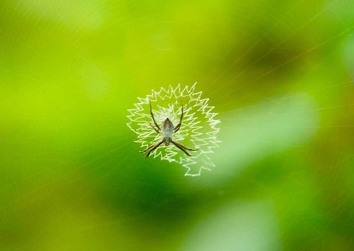 Foto de Liberia (Guanacaste), Costa Rica