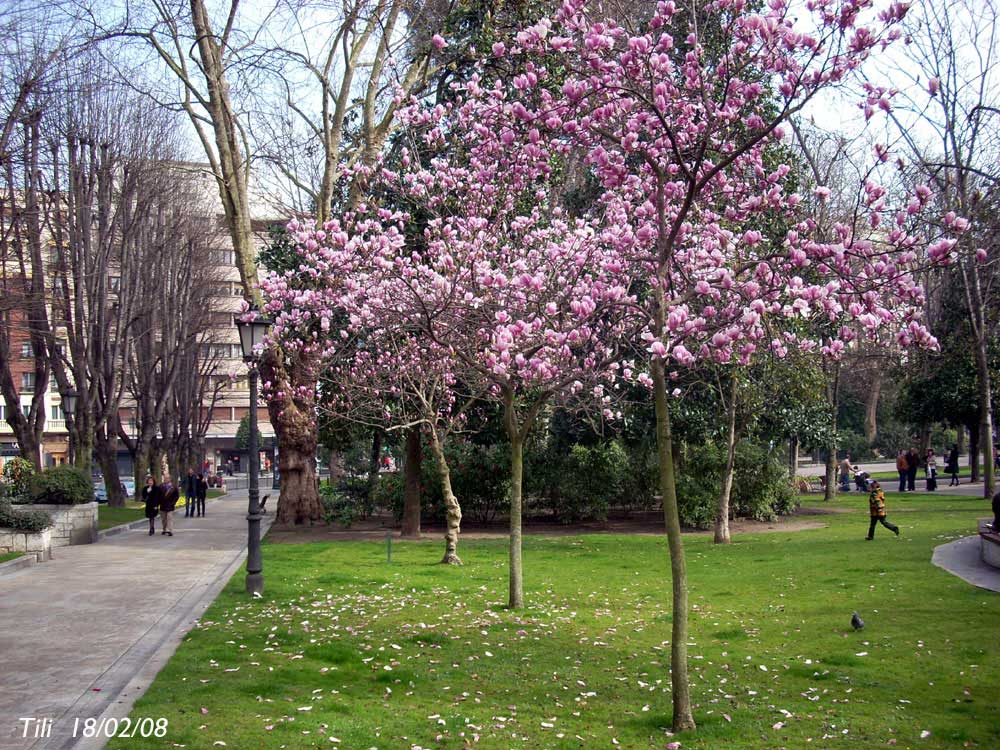 Foto de Oviedo (Asturias), España